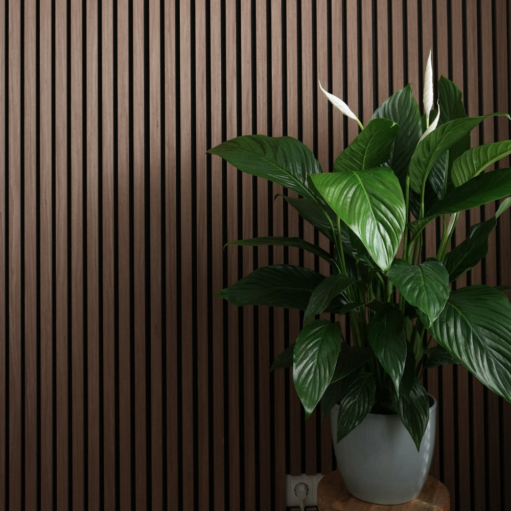 Mocca Acoustic Wooden Wall Panel 3-Sided Wood Veneer Aku Woodpanel UK