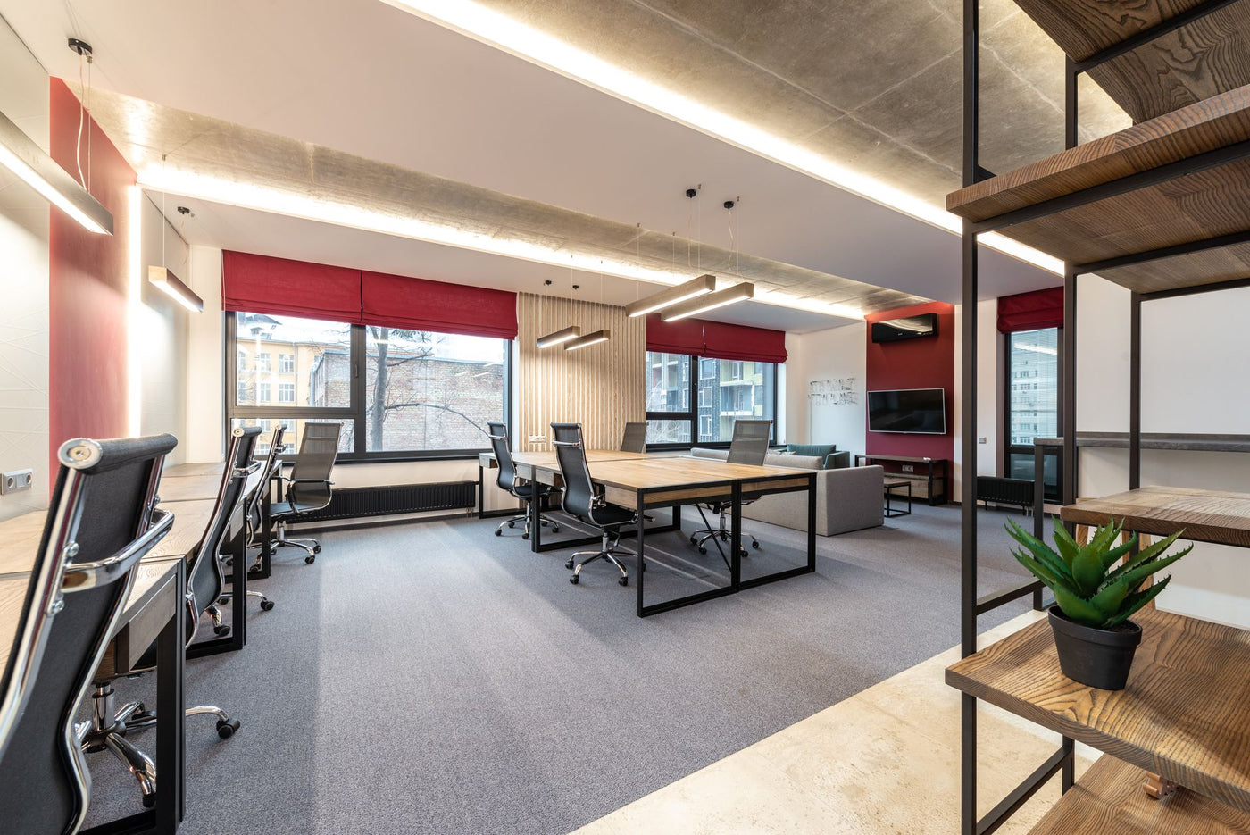 Interior of modern organization with tables with chairs next to windows with jalousie and shelves with potted cactus